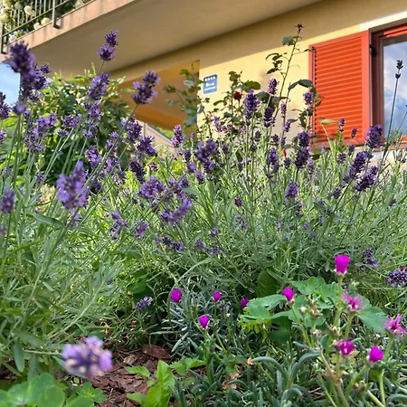 Roza Apartamento Matulji