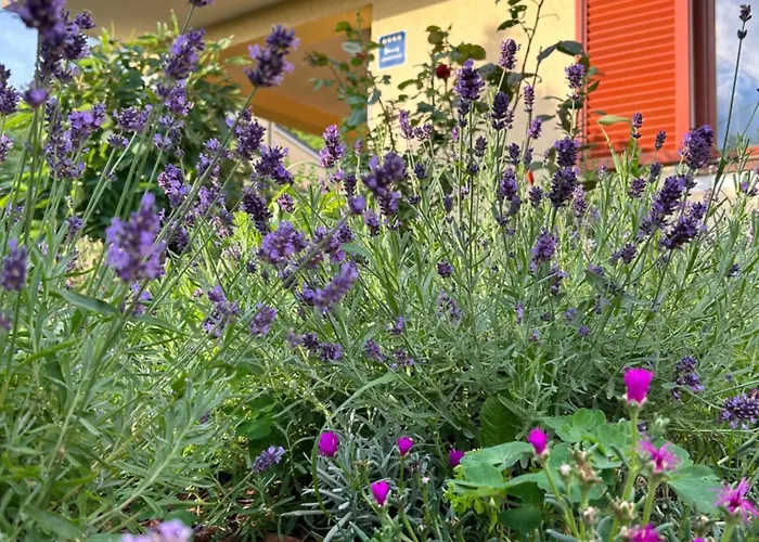 Roza Apartmán Matulji